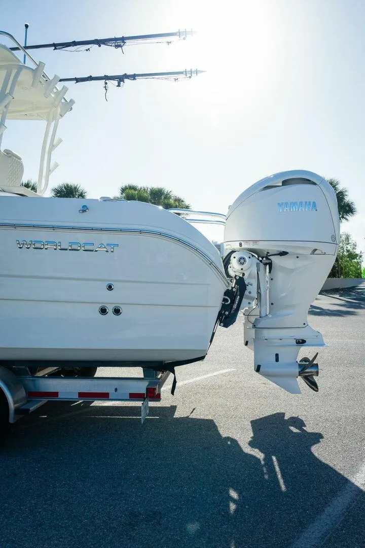 Slide: The Image of World Cat 295 2024 - 5980685