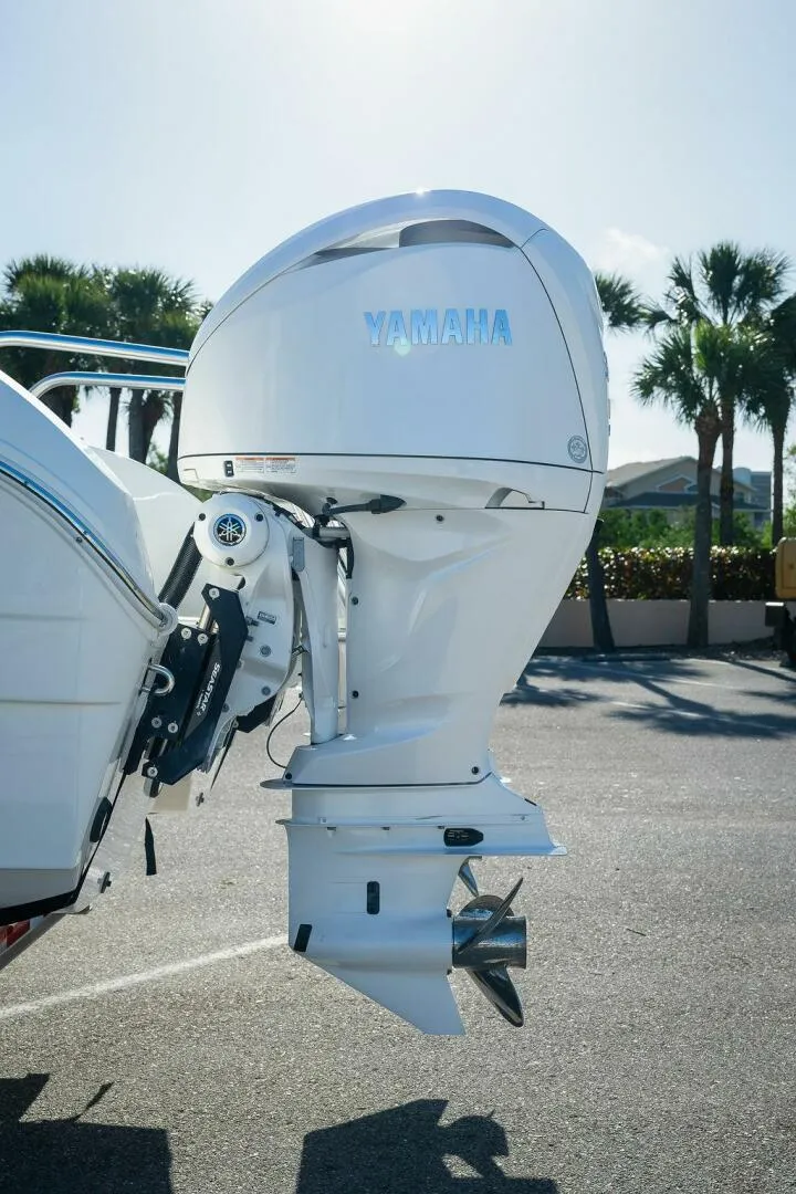 Slide: The Image of World Cat 295 2024 - 5980686