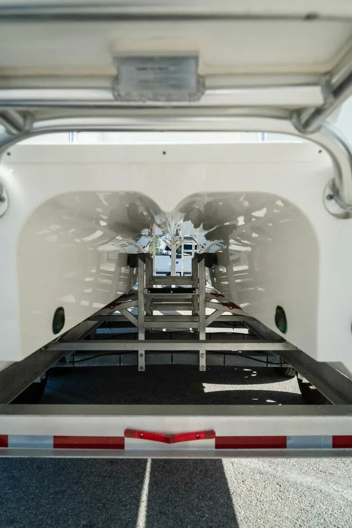 Slide: The Image of World Cat 295 2024 - 5980688