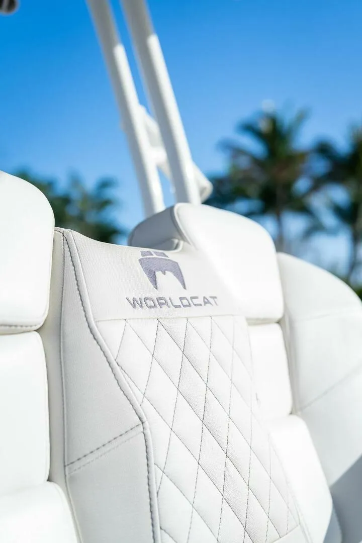 Slide: The Image of World Cat 295 2024 - 5980650