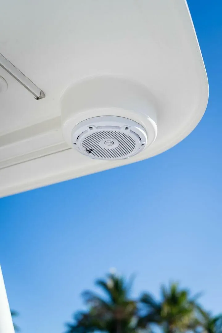 Slide: The Image of World Cat 295 2024 - 5980651