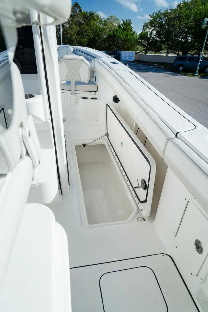 Slide: The Image of World Cat 295 2024 - 5980655