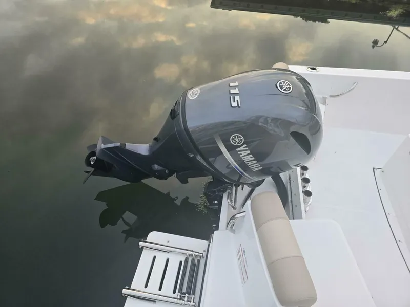 Slide: The Image of Edgewater 170CC 2024 - 5983889