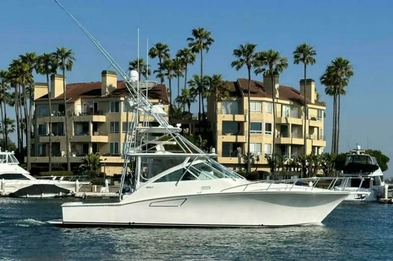 The Image of 2006 Cabo 40 Express - BUZZ CATCHER Profile - 6421653
