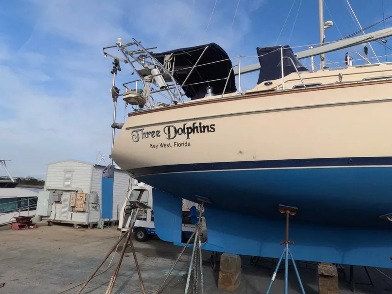 Slide: The Image of Island Packet 370 2005 - 5991852