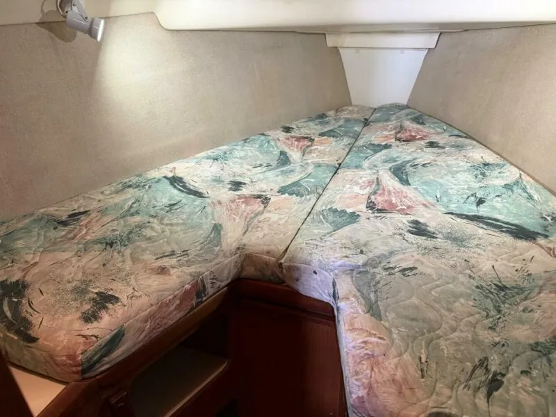 Slide: The Image of Hunter 336 1997 - 5987209