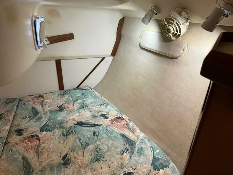 Slide: The Image of Hunter 336 1997 - 5987218