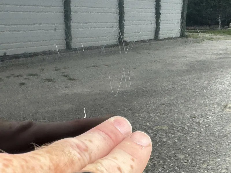 Slide: The Image of Mastercraft X-2 2008 - 5988190