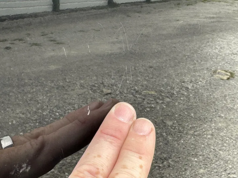 Slide: The Image of Mastercraft X-2 2008 - 5988191