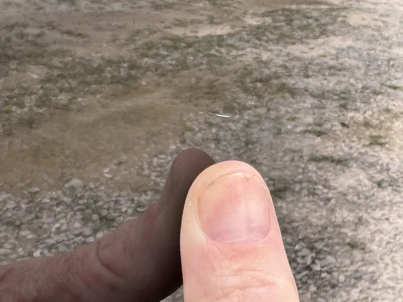 Slide: The Image of Mastercraft X-2 2008 - 5988164