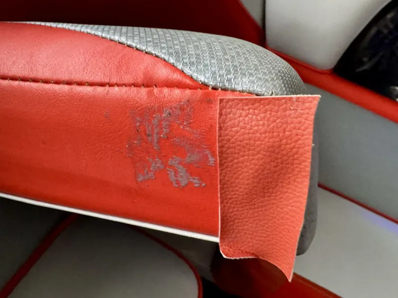 Slide: The Image of Moomba Craz 2016 - 5988351