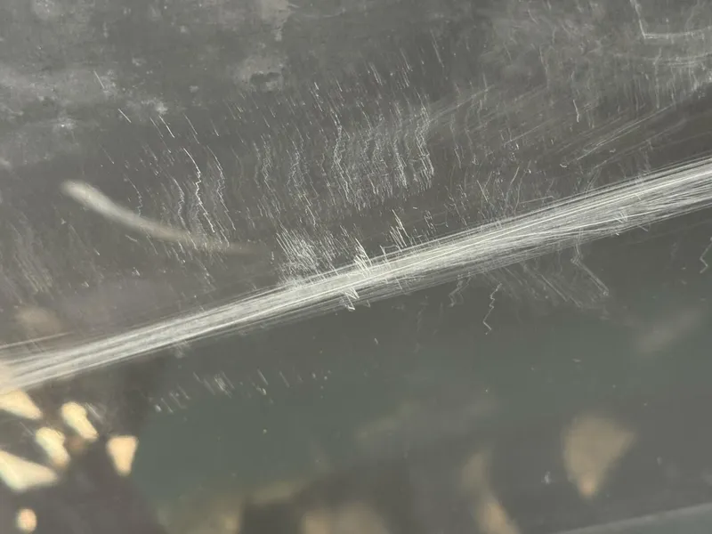 Slide: The Image of Moomba Craz 2016 - 5988395