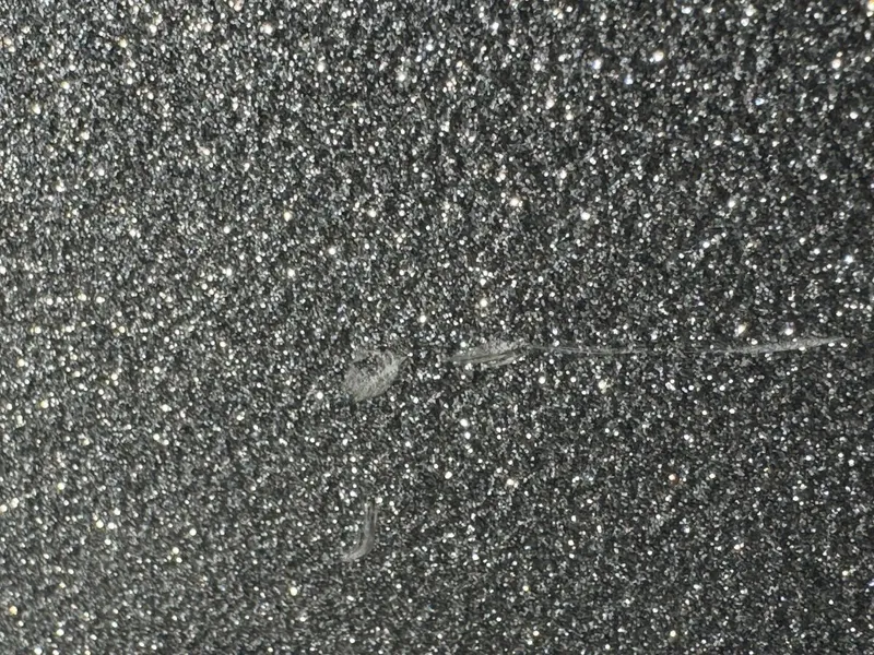 Slide: The Image of Moomba Craz 2016 - 5988441