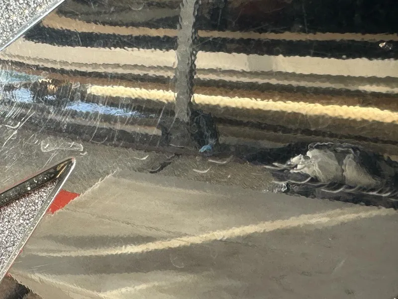 Slide: The Image of Moomba Craz 2016 - 5988443