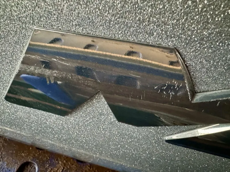 Slide: The Image of Moomba Craz 2016 - 5988449