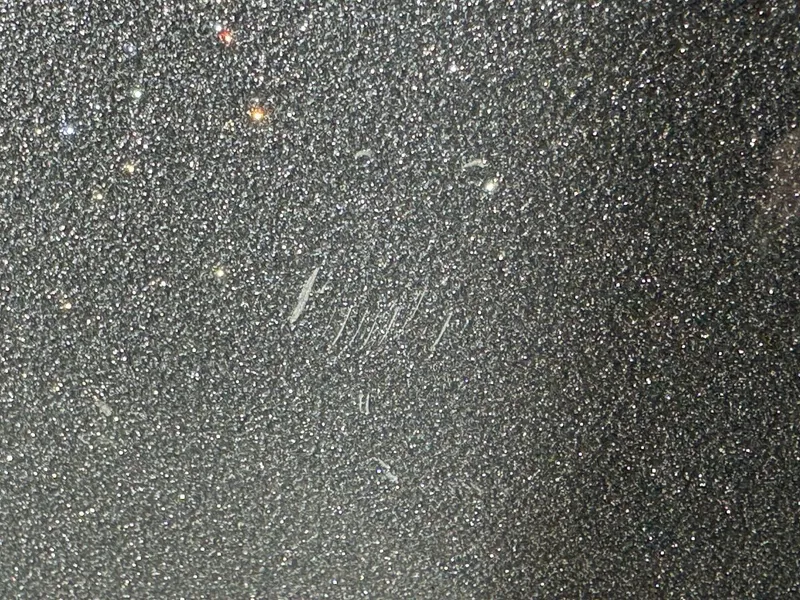 Slide: The Image of Moomba Craz 2016 - 5988455