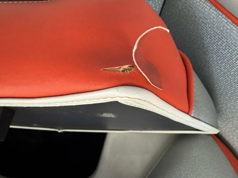 Slide: The Image of Moomba Craz 2016 - 5988298