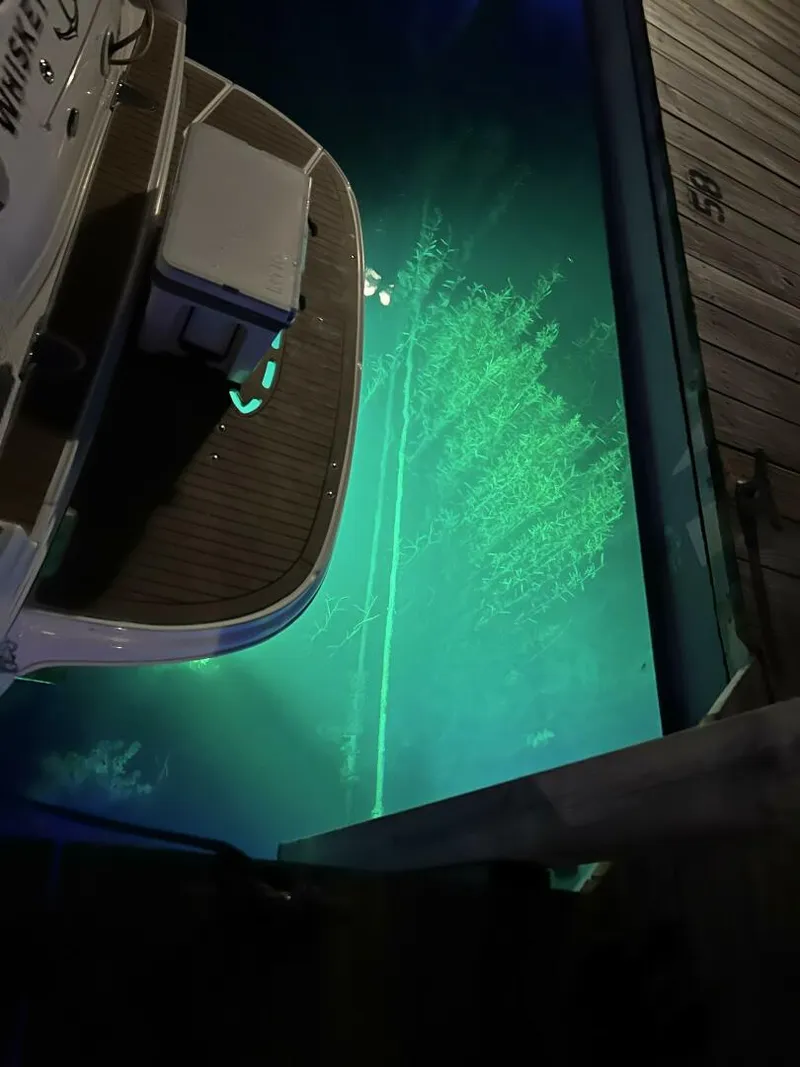 Slide: The Image of Sea Ray 320 Sundancer 2006 - 5988551