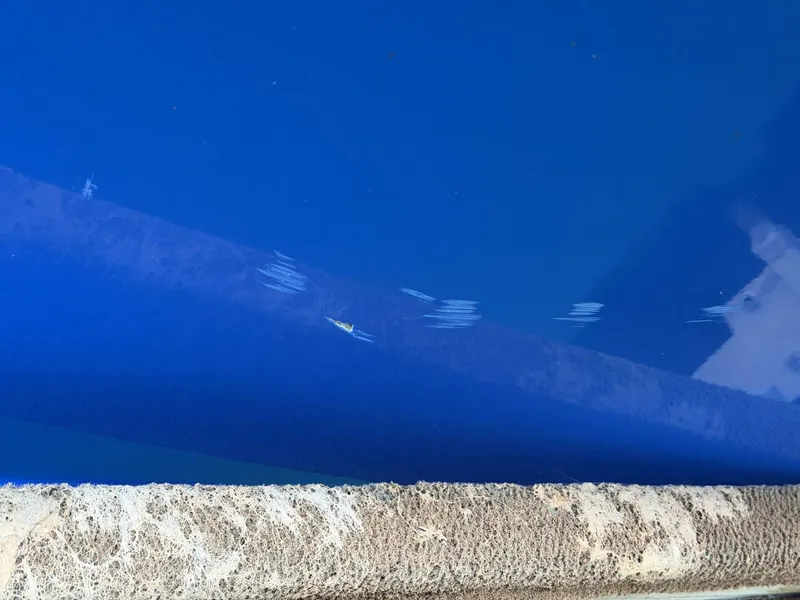 Slide: The Image of Correct Craft Air Nautique SV-211 Team Edition 2006 - 5989156