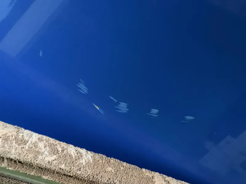 Slide: The Image of Correct Craft Air Nautique SV-211 Team Edition 2006 - 5989157