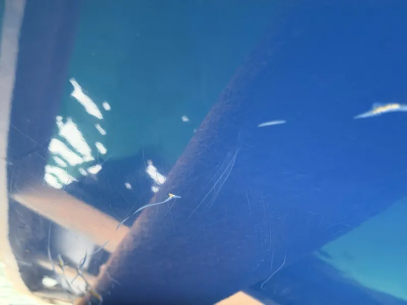 Slide: The Image of Correct Craft Air Nautique SV-211 Team Edition 2006 - 5989170