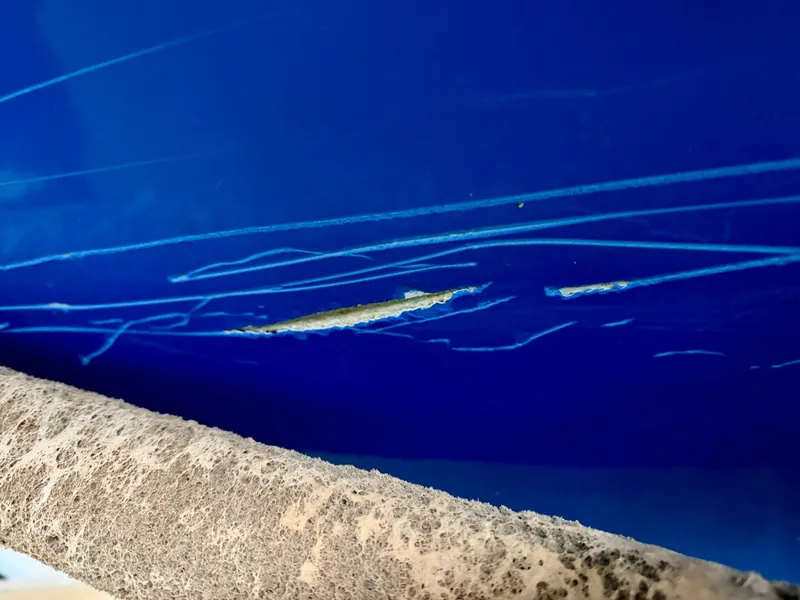 Slide: The Image of Correct Craft Air Nautique SV-211 Team Edition 2006 - 5989175