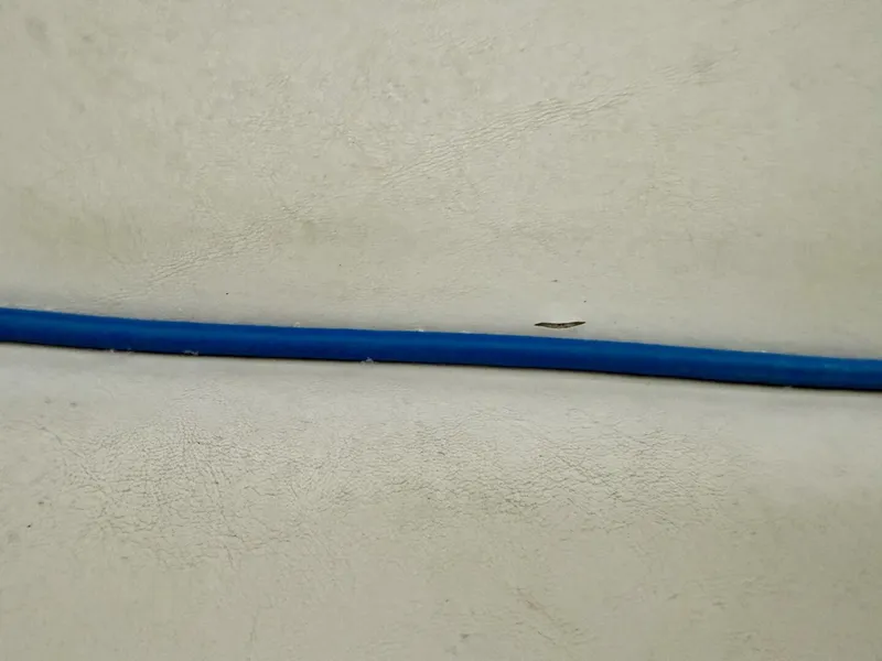 Slide: The Image of Correct Craft Air Nautique SV-211 Team Edition 2006 - 5989030