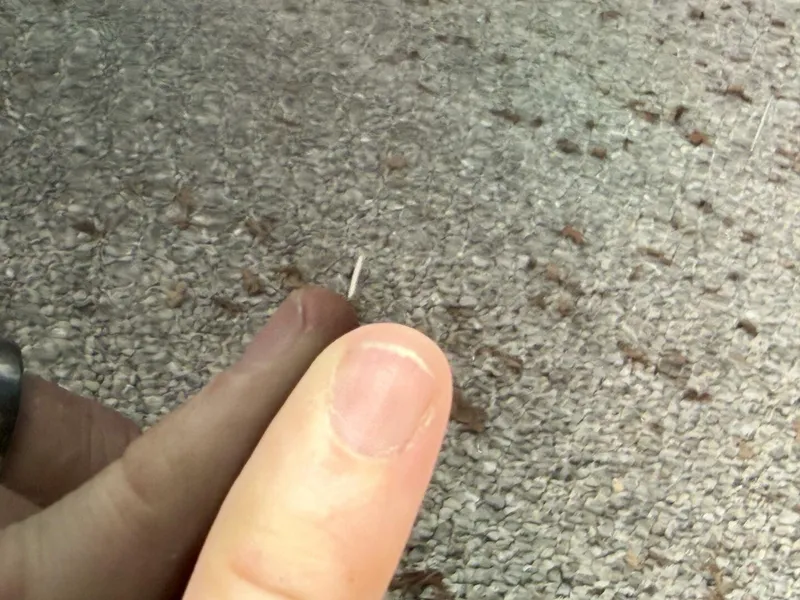 Slide: The Image of Maxum 2200 SR3 2007 - 5989430