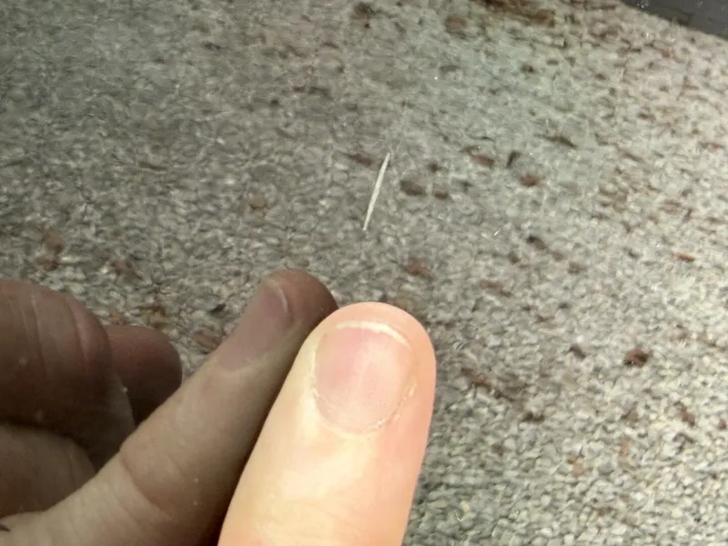 Slide: The Image of Maxum 2200 SR3 2007 - 5989431