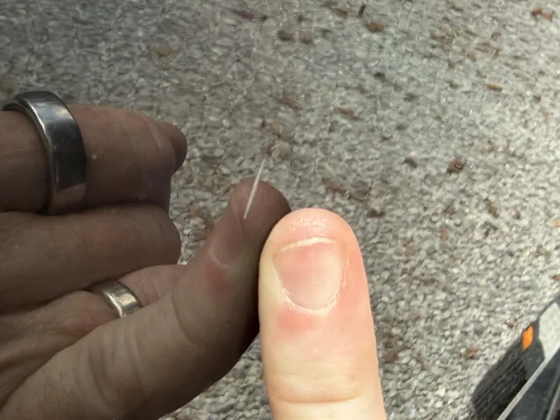 Slide: The Image of Maxum 2200 SR3 2007 - 5989432