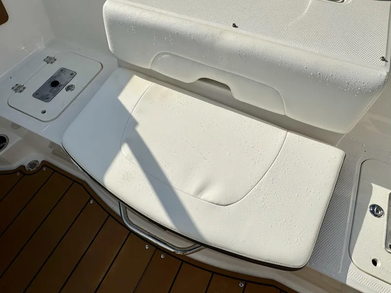 Slide: The Image of Chaparral 21 SSi Ski & Fish 2023 - 5989628