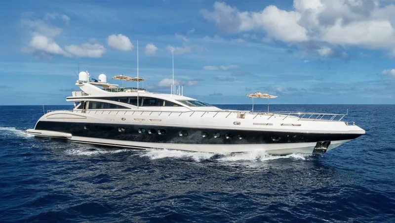 The Image of Arno Leopard 141 2012 - undefined