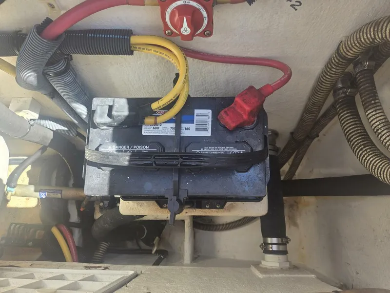 Slide: The Image of True World Marine TE2810 2008 - 5993950