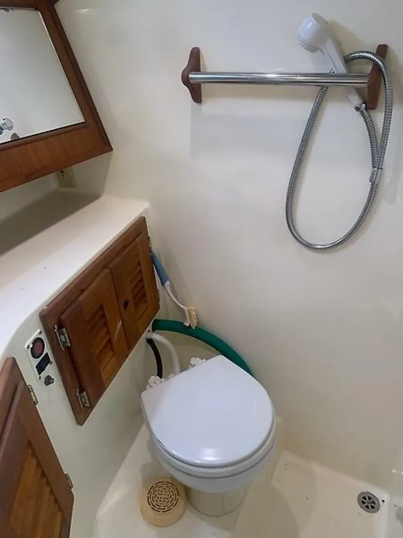 Slide: The Image of 0005611132 - 5994043