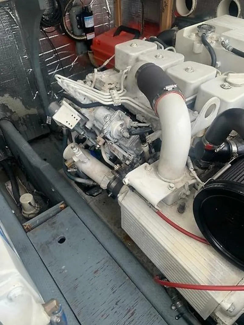 Slide: The Image of 0005611146 - 5994056