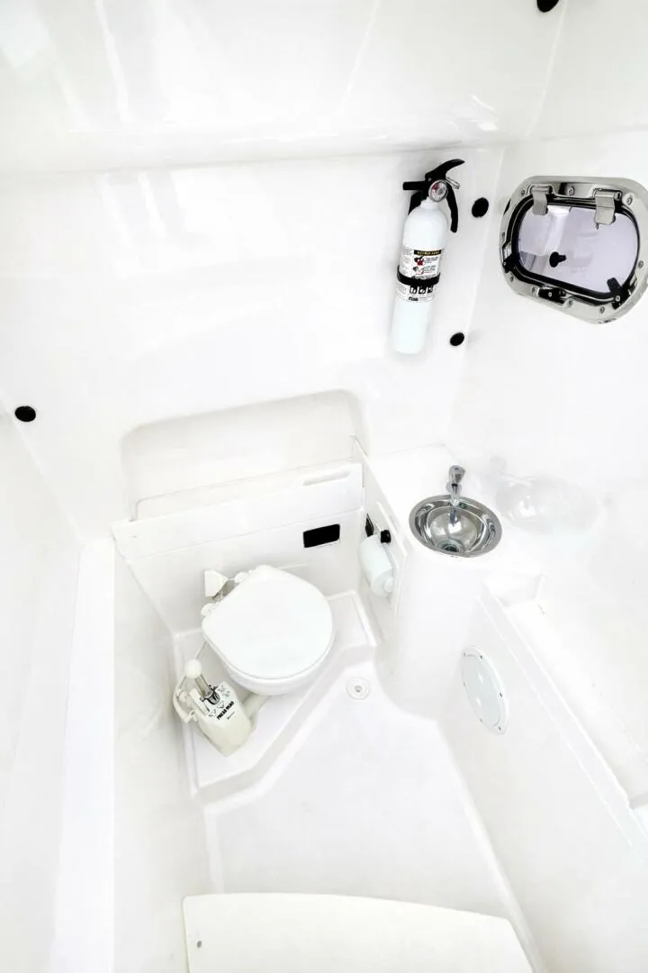 Slide: The Image of Pursuit C 260 Center Console 2017 - 5994178