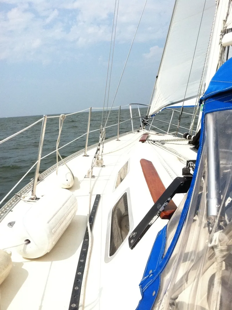 The Image of San Juan 34 1982 - undefined