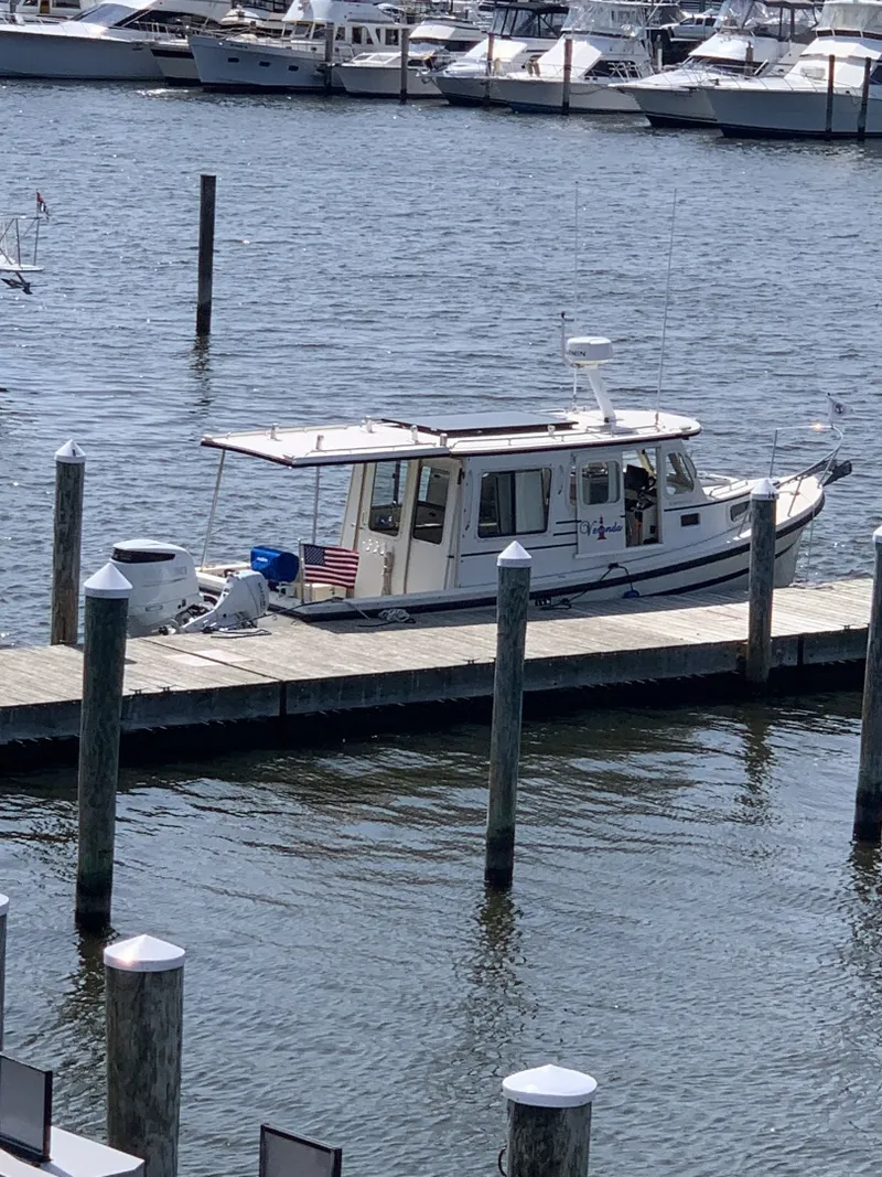 Slide: The Image of Rosborough RF 246 2007 - 6001201