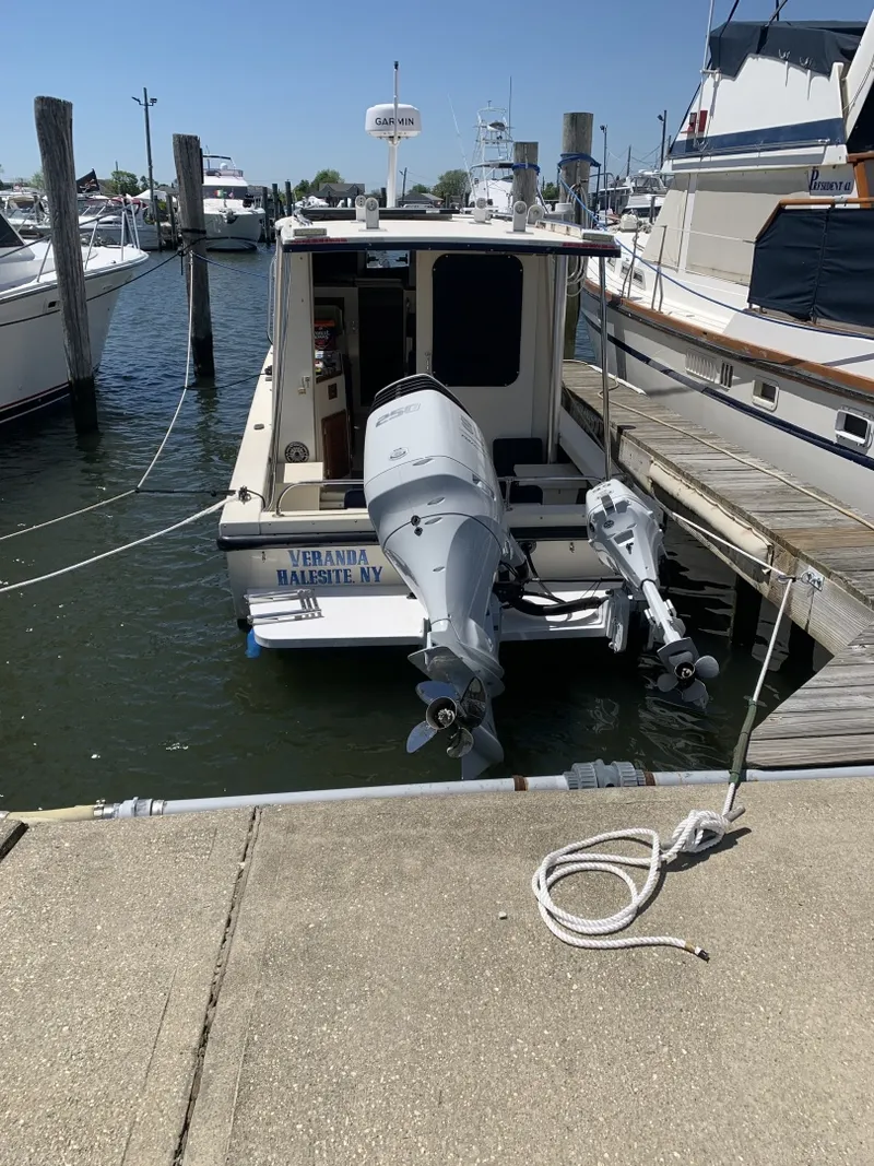 Slide: The Image of Rosborough RF 246 2007 - 6001194