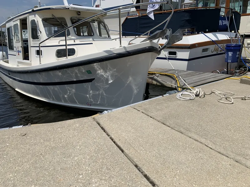 Slide: The Image of Rosborough RF 246 2007 - 6001196