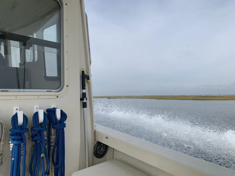 Slide: The Image of Rosborough RF 246 2007 - 6001199