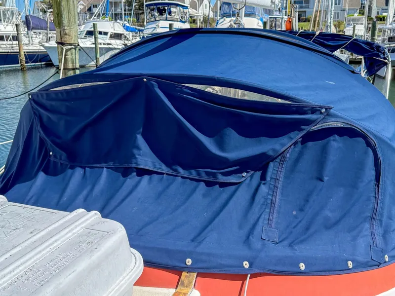 Slide: The Image of Dodger  - 6004589