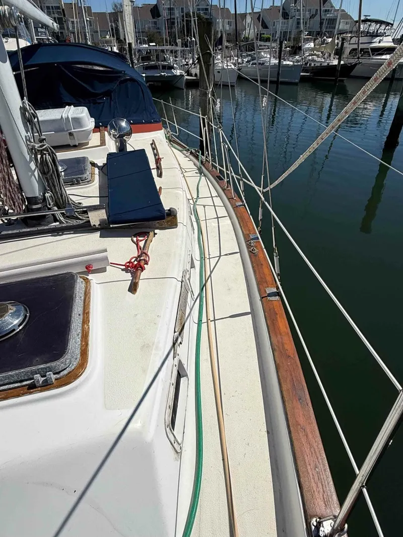 Slide: The Image of Starboard deck & solar panel covered - 6004590