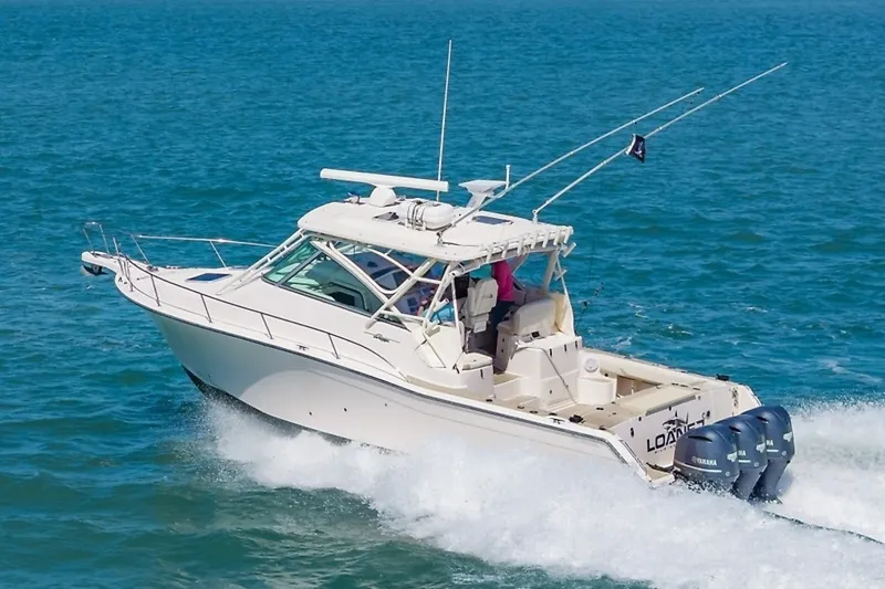 Slide: The Image of 0005264314 - 6004453