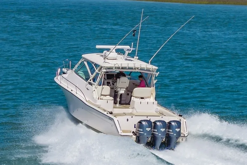 Slide: The Image of 0005264305 - 6004446