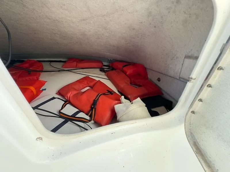 Slide: The Image of 0005610206 - 6004523