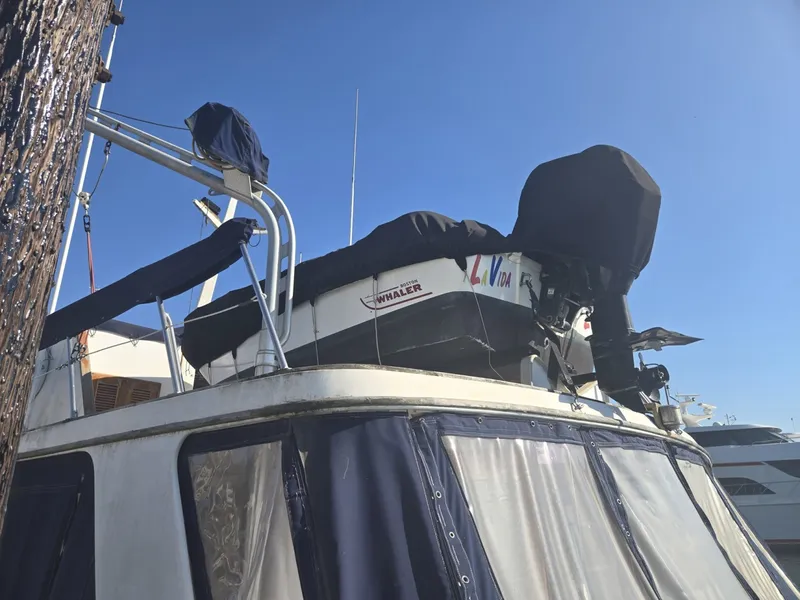 Slide: The Image of Ocean Alexander 50 1982 - 6004815