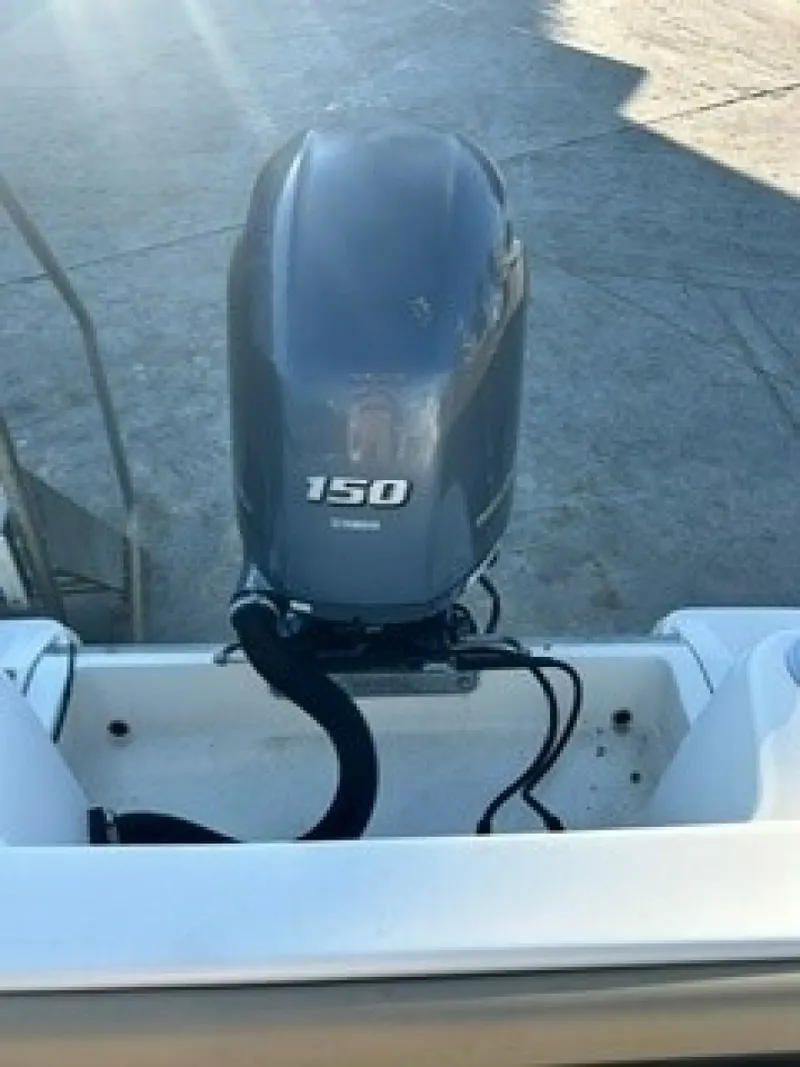 Slide: The Image of Scout 215 XSF 2019 - 6005551