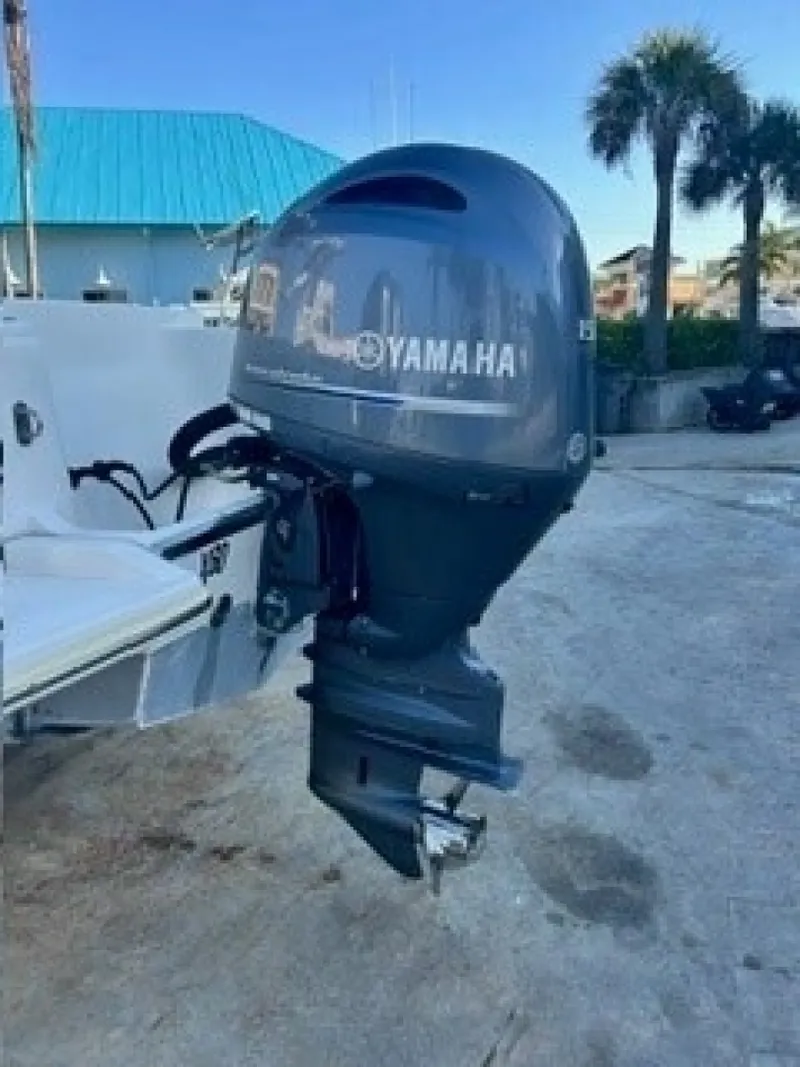 Slide: The Image of Scout 215 XSF 2019 - 6005542