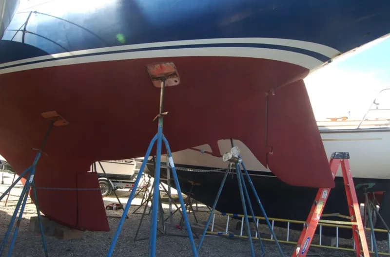 Slide: The Image of Swan 43 1969 - 6006369